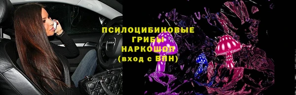 тгк Алексин