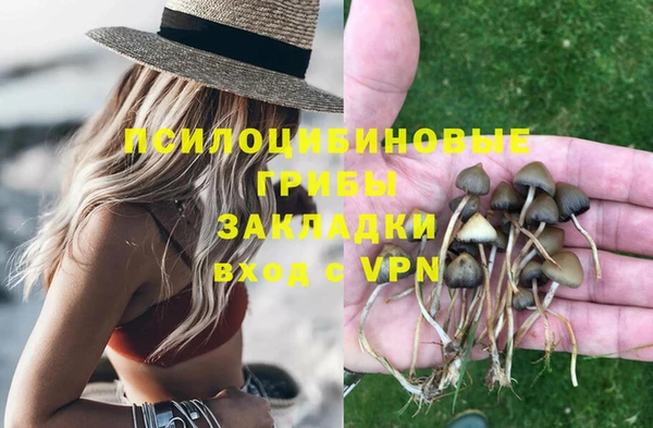 молекула духа Алзамай