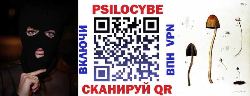 магазин продажи   Ачхой-Мартан  Псилоцибиновые грибы MAGIC MUSHROOMS 